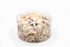 beige and white seashell pack